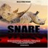 Poster for Snare